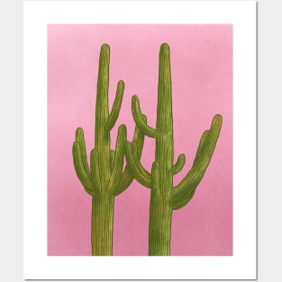 Cactus on Pink Wall Desert Nature Boho Aesthetic Posters and Art